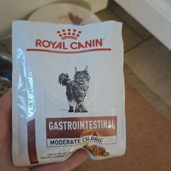 Корм влажный для кошек ROYAL CANIN GASTROINTESTINAL MODERATE CALORIE при расстройствах пищеварения: отзыв пользователя. Зоомагазин Зоозавр