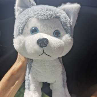 Мягкая игрушка Laffi собачка Хаски на поводке: отзыв пользователя Детский Мир