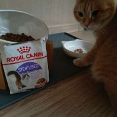 Фото отзыва 10292200