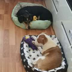 Фото отзыва 10667946