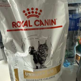 Корм для кошек ROYAL CANIN Veterinary Diet Urinary S/O Moderate Calorie Лечение и профилактика МКБ 1.5кг: отзыв пользователя. Зоомагазин Зоозавр