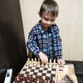 Настольная игра Рыжий кот Шахматы: отзыв пользователя Детский Мир