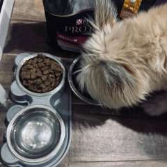 Фото отзыва 10916784