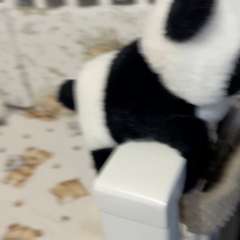 Видео отзыва 10921838