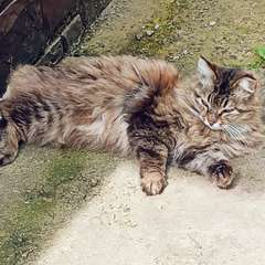 Фото отзыва 10802517