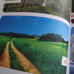 Фото отзыва 10656994