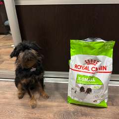 Фото отзыва 10815935