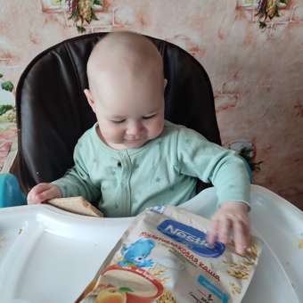 Каша молочная Nestle мультизлаковая мед-абрикос 200г с 9месяцев: отзыв пользователя Детский Мир