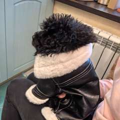 Фото отзыва 10652022