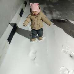 Фото отзыва 10858675