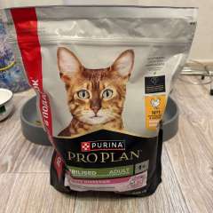 Фото отзыва 10892760