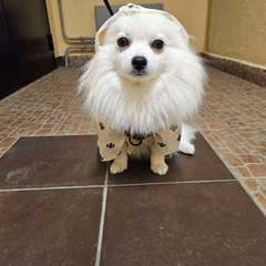 Фото отзыва 10499715