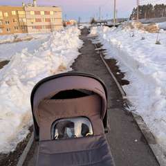 Фото отзыва 11180478