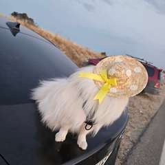 Фото отзыва 10140096