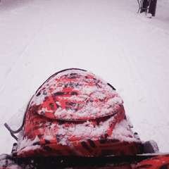 Фото отзыва 5910247