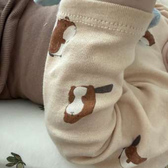 Боди BabyGo: отзыв пользователя Детский Мир