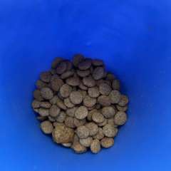 Фото отзыва 11046818