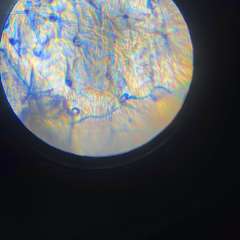 Фото отзыва 11307979