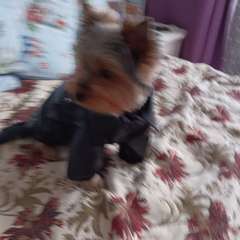 Фото отзыва 3628834