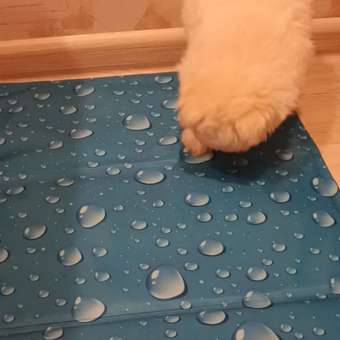 Коврик охлаждающий для животных Homepet Silver series bubble 60*40см: отзыв пользователя. Зоомагазин Зоозавр