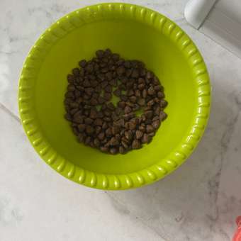 Корм для кошек Carnica 0,4кг с индейкой сухой: отзыв пользователя. Зоомагазин Зоозавр