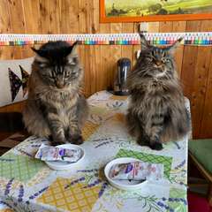 Фото отзыва 10589653