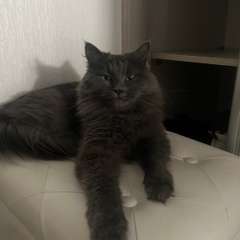 Фото отзыва 10960276