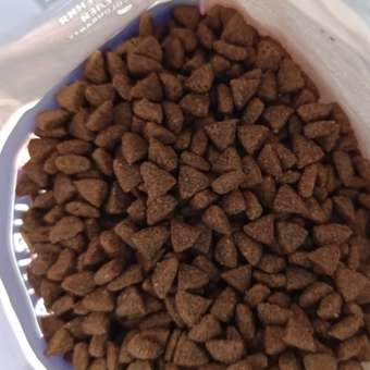 Корм для собак PRO PLAN мелких и миниатюрных пород с чувствительным пищеварением ягненок с рисом 700г: отзыв пользователя. Зоомагазин Зоозавр