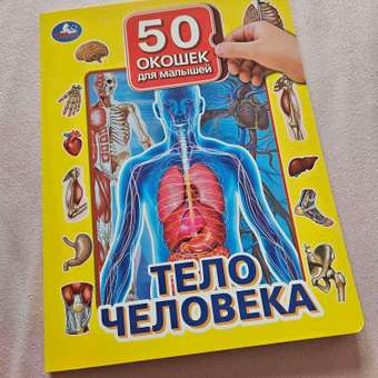 Книга Тело человека 394204: отзыв пользователя ДетМир