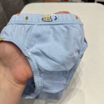 Трусы 3 шт BabyGo: отзыв пользователя Детский Мир