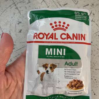 Корм для собак ROYAL CANIN Adult мелких размеров от 10 месяцев кусочки в соусе пауч 85г: отзыв пользователя. Зоомагазин Зоозавр