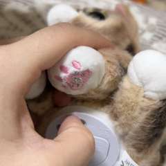 Видео отзыва 10626677