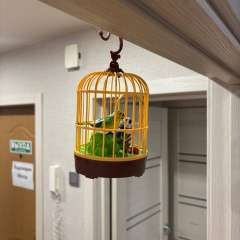 Фото отзыва 10641970