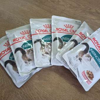 Корм для кошек ROYAL CANIN Instinctive 85г для пожилых 7+ соус пауч: отзыв пользователя. Зоомагазин Зоозавр