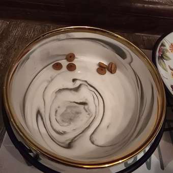 Корм сухой для кошек ROYAL CANIN Fit 32 400г: отзыв пользователя. Зоомагазин Зоозавр