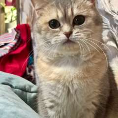 Фото отзыва 10658901