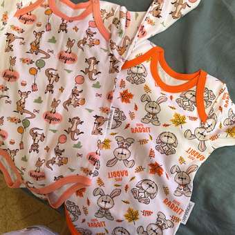 Боди 2 шт Эскимо: отзыв пользователя Детский Мир