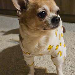 Фото отзыва 10635430