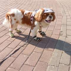 Фото отзыва 10512214