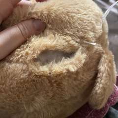 Фото отзыва 10837612