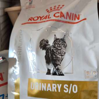Корм для кошек ROYAL CANIN 350г Urinary S/O: отзыв пользователя. Зоомагазин Зоозавр