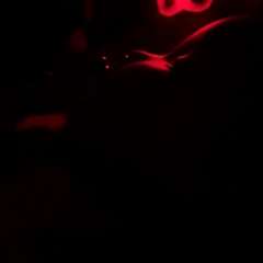 Видео отзыва 10721755