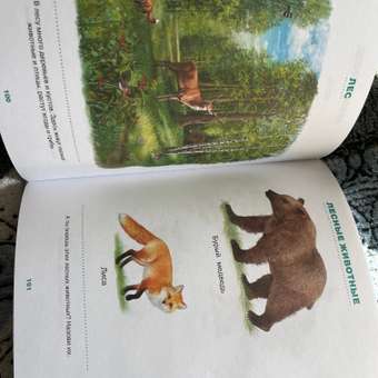 Книга Махаон Первая книга знаний Необходимый набор тем для занятий с ребенком от 6мес до 3лет: отзыв пользователя Детский Мир