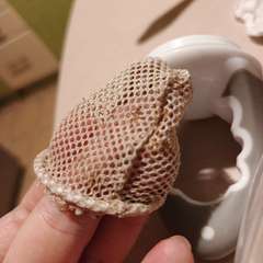 Фото отзыва 10780708