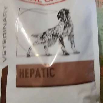 Корм для собак ROYAL CANIN Hepatic HF16 при заболеваниях печени 1.5кг: отзыв пользователя. Зоомагазин Зоозавр