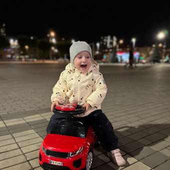 Каталка Kreiss Красный: отзыв пользователя Детский Мир