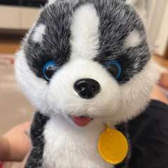 Фото отзыва 10850481