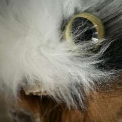 Фото отзыва 10428345