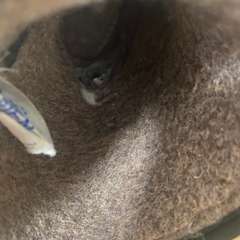 Фото отзыва 10562325