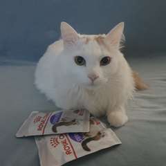 Фото отзыва 10660097